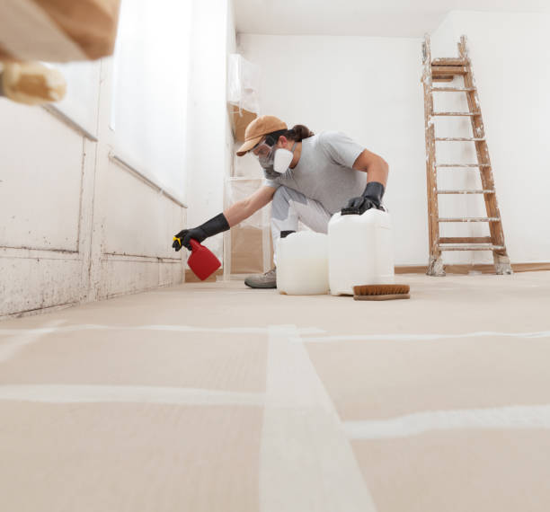 Best Attic Mold Removal  in USA